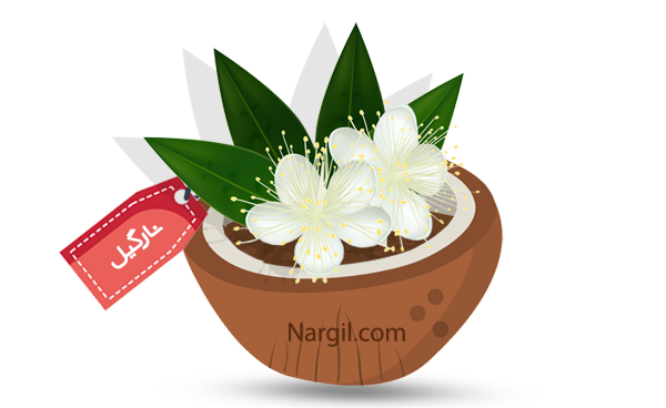 Nargil_Myrtus Communis
